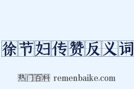 徐节妇传赞反义词是什么意思的图片